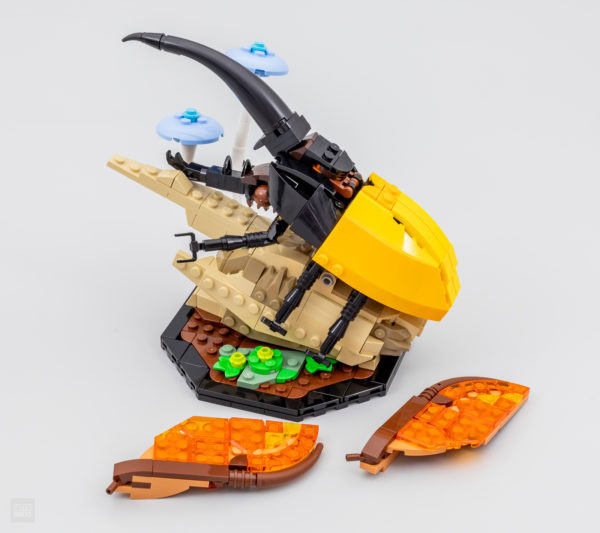 Idei Lego 21342 Colecția de insecte 11