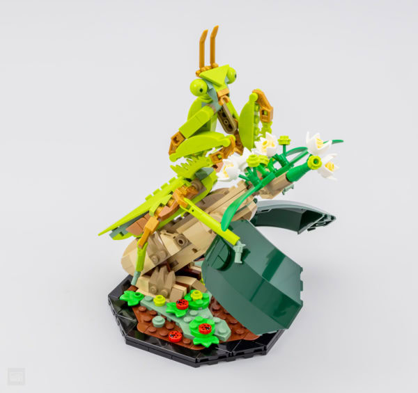 Lego hugmyndir 21342 skordýrasafn 20