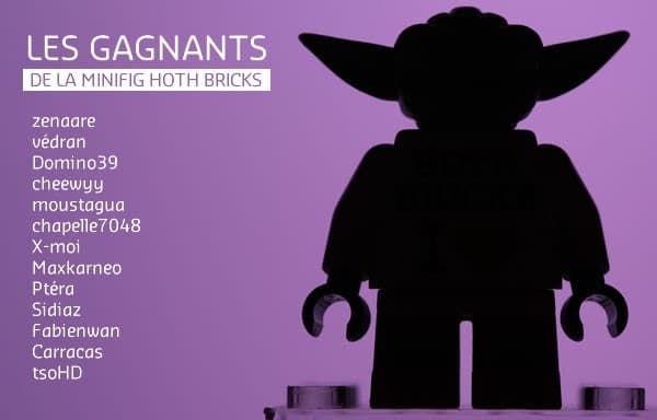 gagnants minifig hothbricks