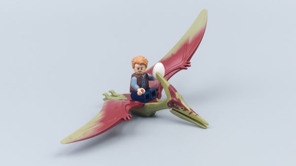 75926 Pteranodon Chase