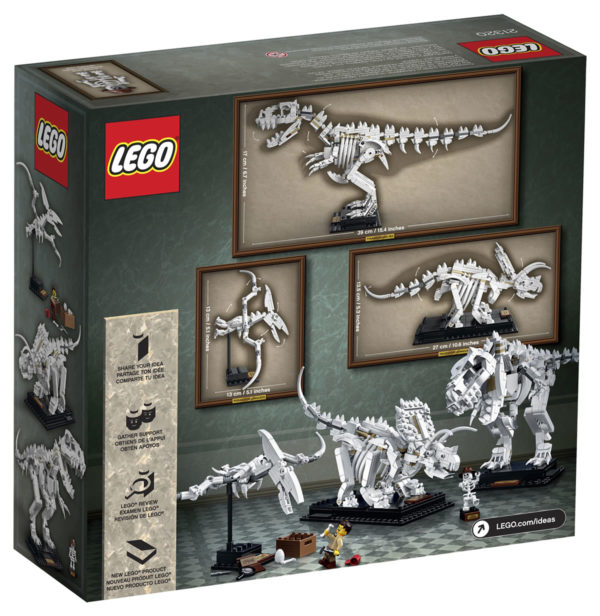 LEGO IDEAS 21320 Dinosaur Fossils