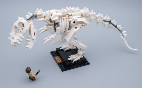 21320 lego ideas dinosaur fossils 14