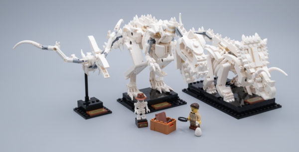 21320 lego ideas dinosaur fossils 20 1