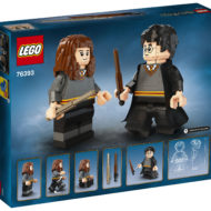 LEGO Harry Potter 76393 Harry Potter & Hermione Granger