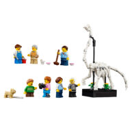 lego icons 10326 natural history museum modular 15