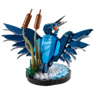 10331 lego icons 2024 kingfisher 2