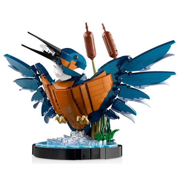 10331 lego icons 2024 kingfisher 4