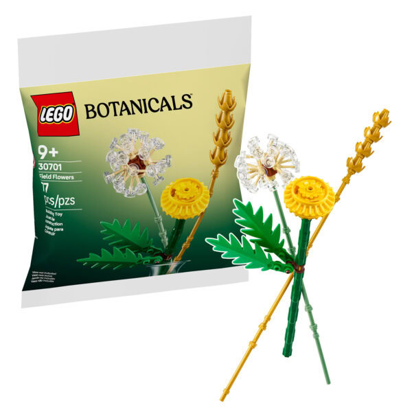 Vase en Lego Botanicals avec fleurs de camp, idéal pour création de compositions florales miniatures, comprenant 17 pièces pour enfants à partir de 9 ans.