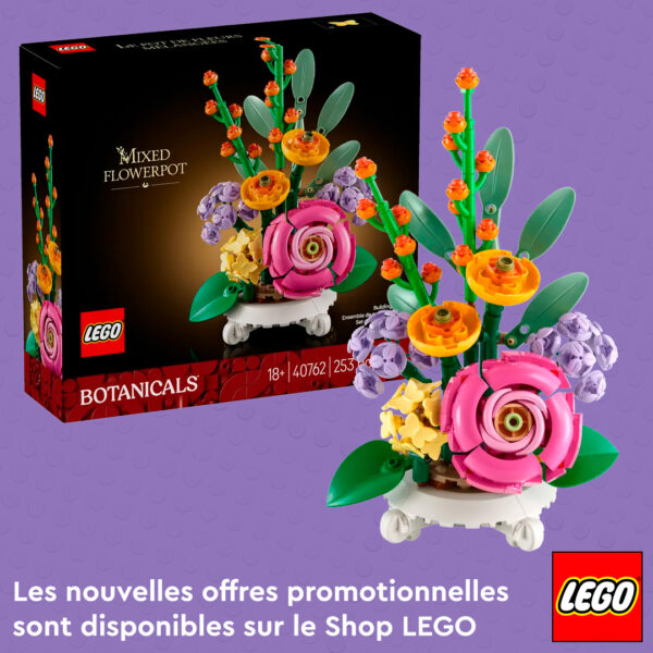 Vase de fleurs mélangées en LEGO, création de fleurs botaniques colorées pour décoration intérieure, jouet éducatif et collection de LEGO Botanicals pour adultes.