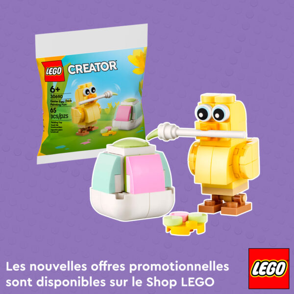 Caroline, voici les valeurs SEO pour votre image :.