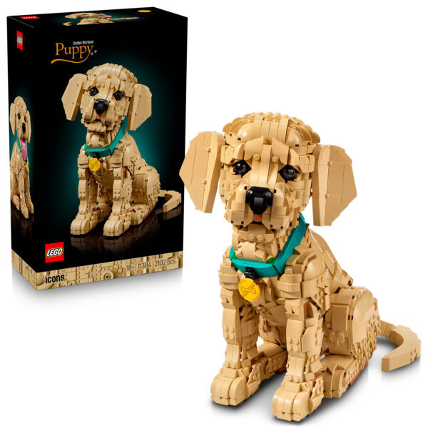 LEGO ICONS 11384 Golden Retriever Puppy : le set est en précommande sur le Shop