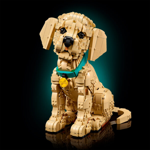 11384 lego icons golden retriever puppy 6