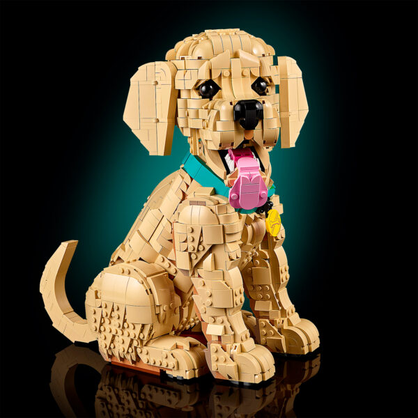 11384 lego icons golden retriever puppy 7