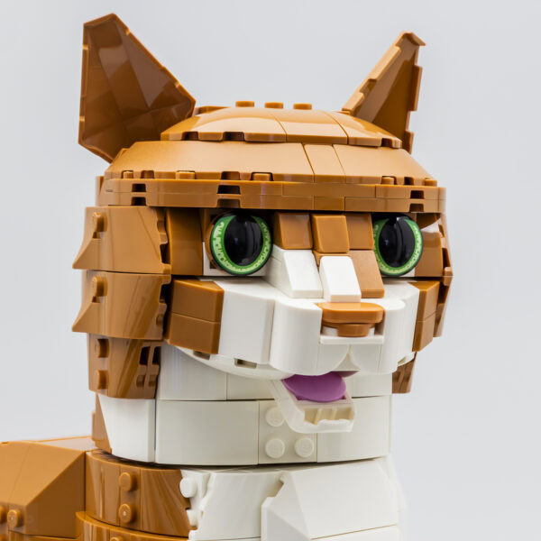 21376 lego ideas orange cat review 10