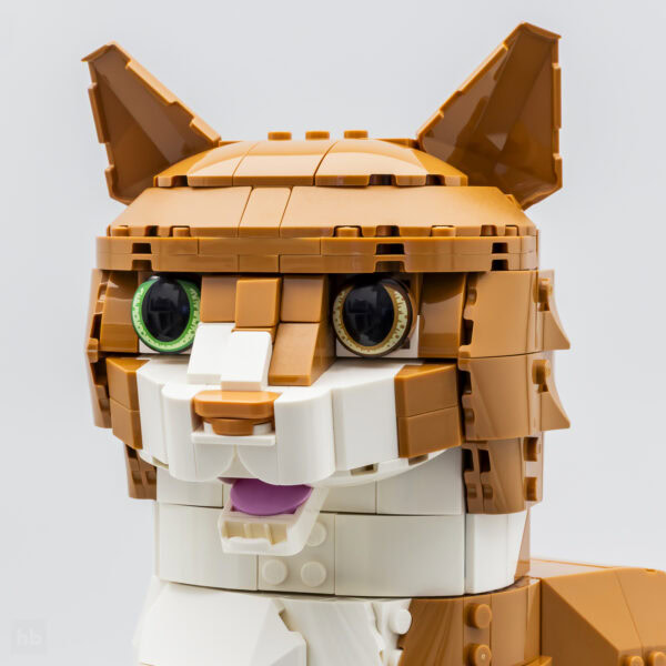Très vite testé : LEGO IDEAS 21376 Orange Cat