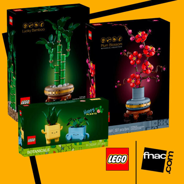 Sur Fnac.com : 50% de réduction immédiate sur le 2ème set LEGO acheté
