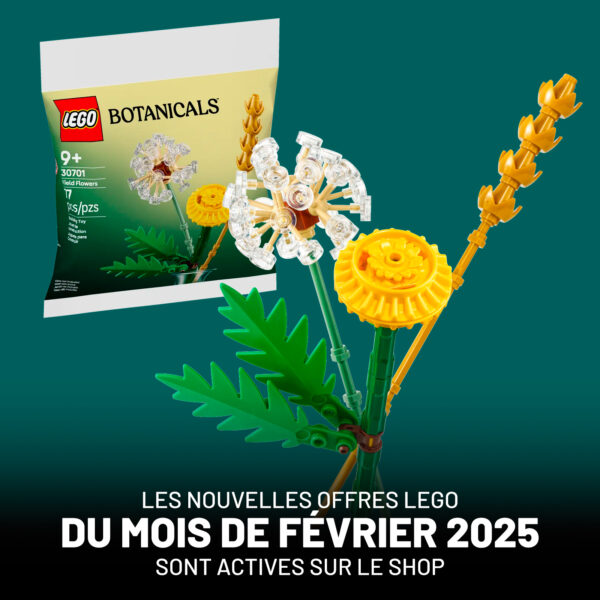 Sur le Shop LEGO : de nouvelles offres promotionnelles sont actives