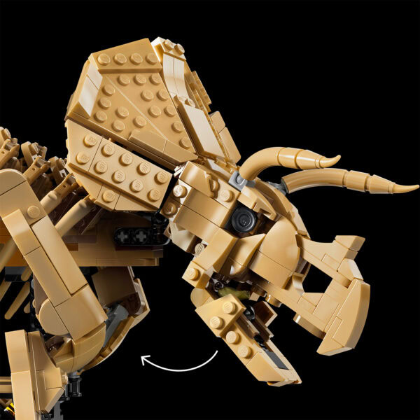 77985 レゴ ジュラシック・ワールド 恐竜の化石 トリケラトプス 5