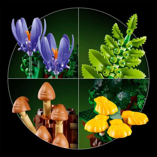 11505 LEGO Botanicals Skovsvampe 2026 6
